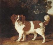 George Stubbs Dog oil painting artist